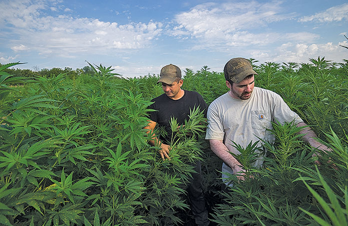 PA hemp farmers